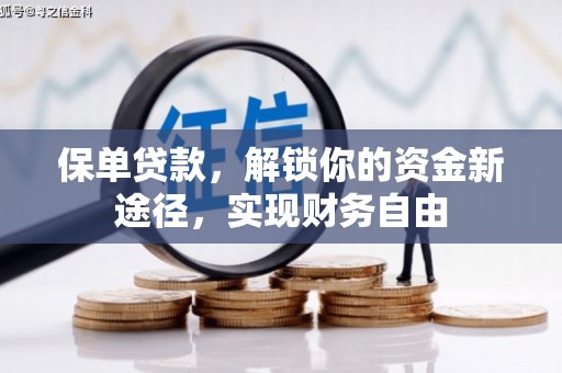 缙云保单贷款，解锁你的资金新途径，实现财务自由
