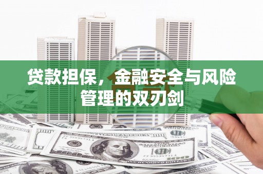 缙云贷款担保，金融安全与风险管理的双刃剑
