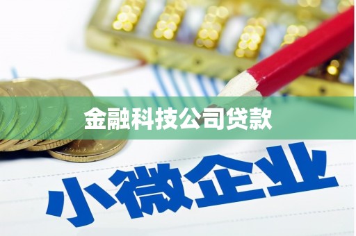 缙云金融科技公司贷款