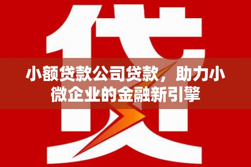 缙云小额贷款公司贷款，助力小微企业的金融新引擎