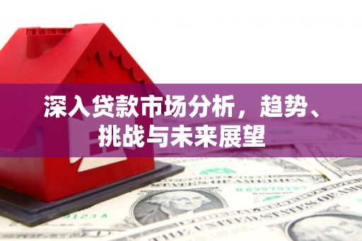 缙云深入贷款市场分析，趋势、挑战与未来展望
