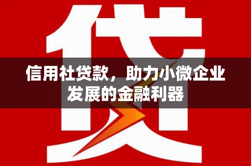 缙云信用社贷款，助力小微企业发展的金融利器