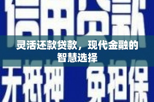 缙云灵活还款贷款，现代金融的智慧选择
