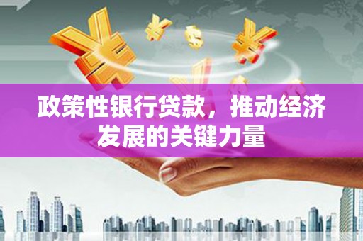 缙云政策性银行贷款，推动经济发展的关键力量