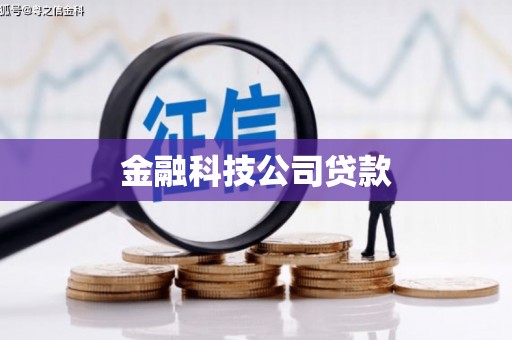 缙云金融科技公司贷款
