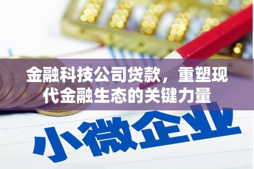 缙云金融科技公司贷款，重塑现代金融生态的关键力量