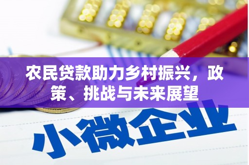 缙云农民贷款助力乡村振兴，政策、挑战与未来展望