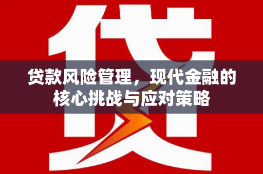 缙云贷款风险管理，现代金融的核心挑战与应对策略