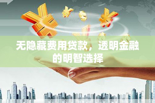 缙云无隐藏费用贷款，透明金融的明智选择