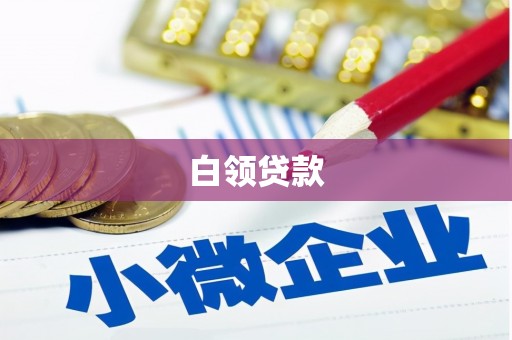 缙云白领贷款
