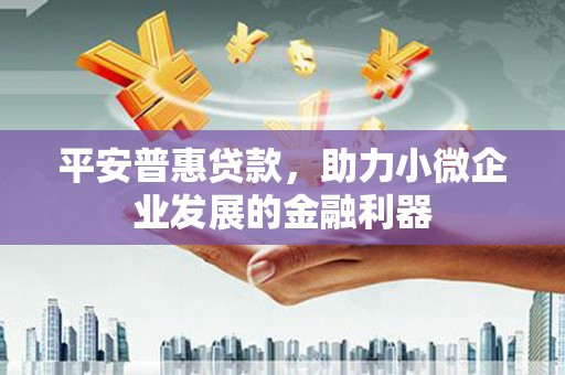 缙云平安普惠贷款，助力小微企业发展的金融利器