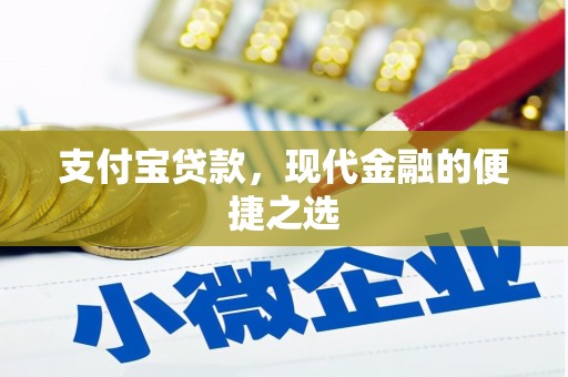 缙云支付宝贷款，现代金融的便捷之选