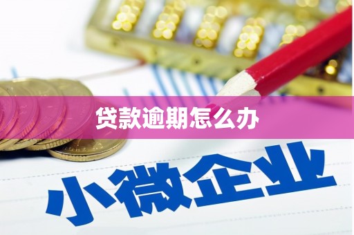 缙云贷款逾期怎么办