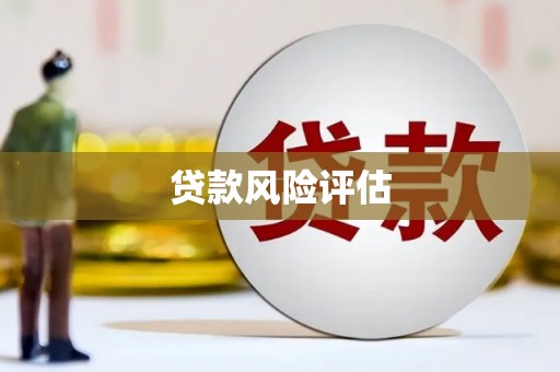 缙云贷款风险评估