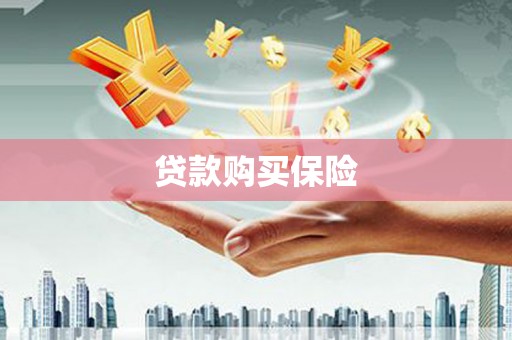 缙云贷款购买保险