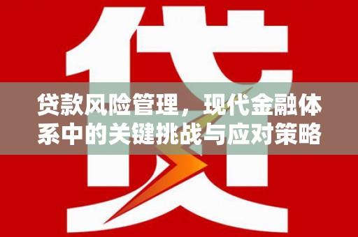 缙云贷款风险管理，现代金融体系中的关键挑战与应对策略