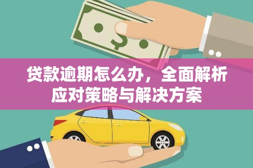 缙云贷款逾期怎么办，全面解析应对策略与解决方案