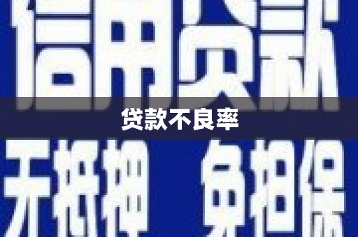 缙云贷款不良率