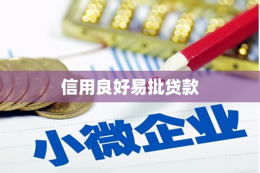 缙云信用良好易批贷款