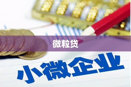 缙云微粒贷