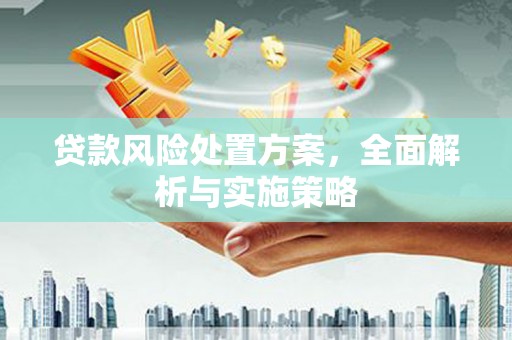 缙云贷款风险处置方案，全面解析与实施策略