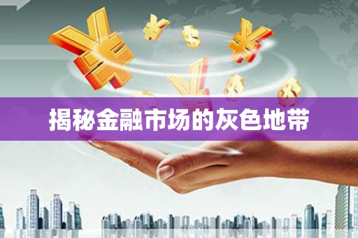 缙云揭秘金融市场的灰色地带
